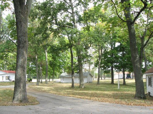 Property photo 17 - 80 Acres Offered in 4 Tracts - Horse Farm